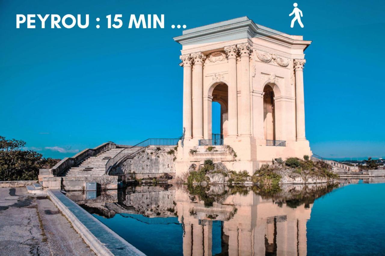 Nouveau - Jungle Montpeul - Clim - Wifi Fibre - Netflix - 5' Du Centre Et Gare - Parking - Loggia - 15' Des Plages 蒙彼利埃 外观 照片